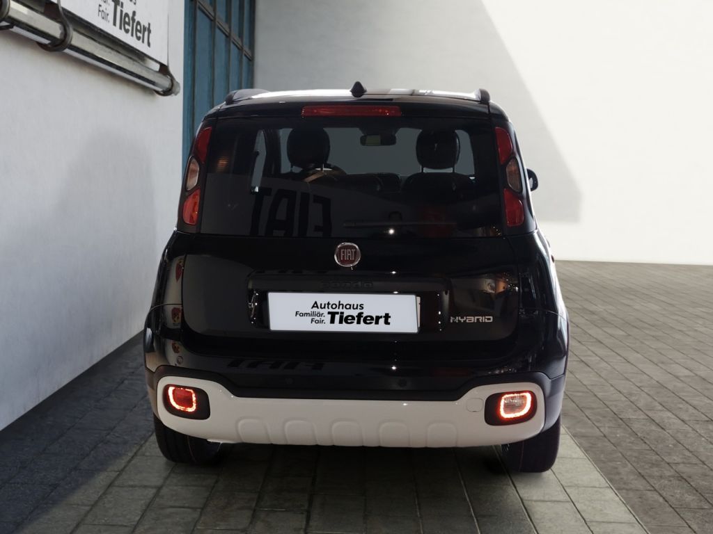 Fiat Other 2025