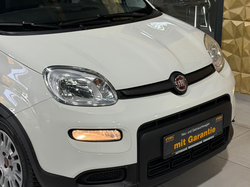 Fiat Panda 2023