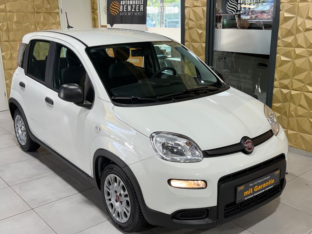 Fiat Panda 2023