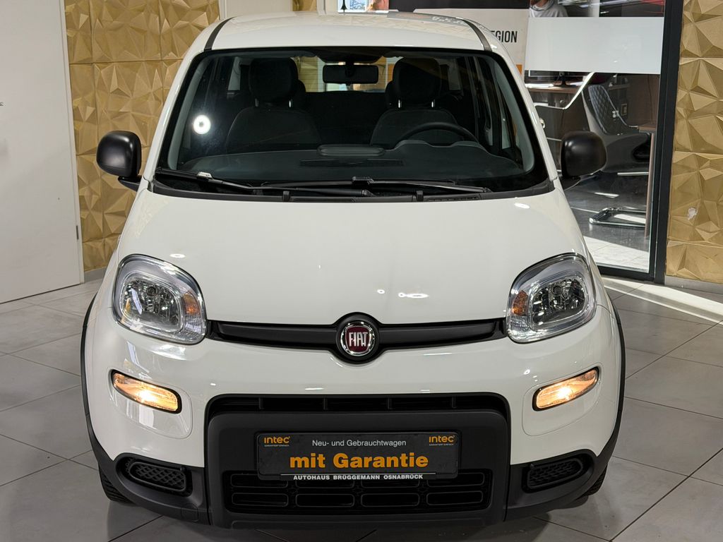 Fiat Panda 2023
