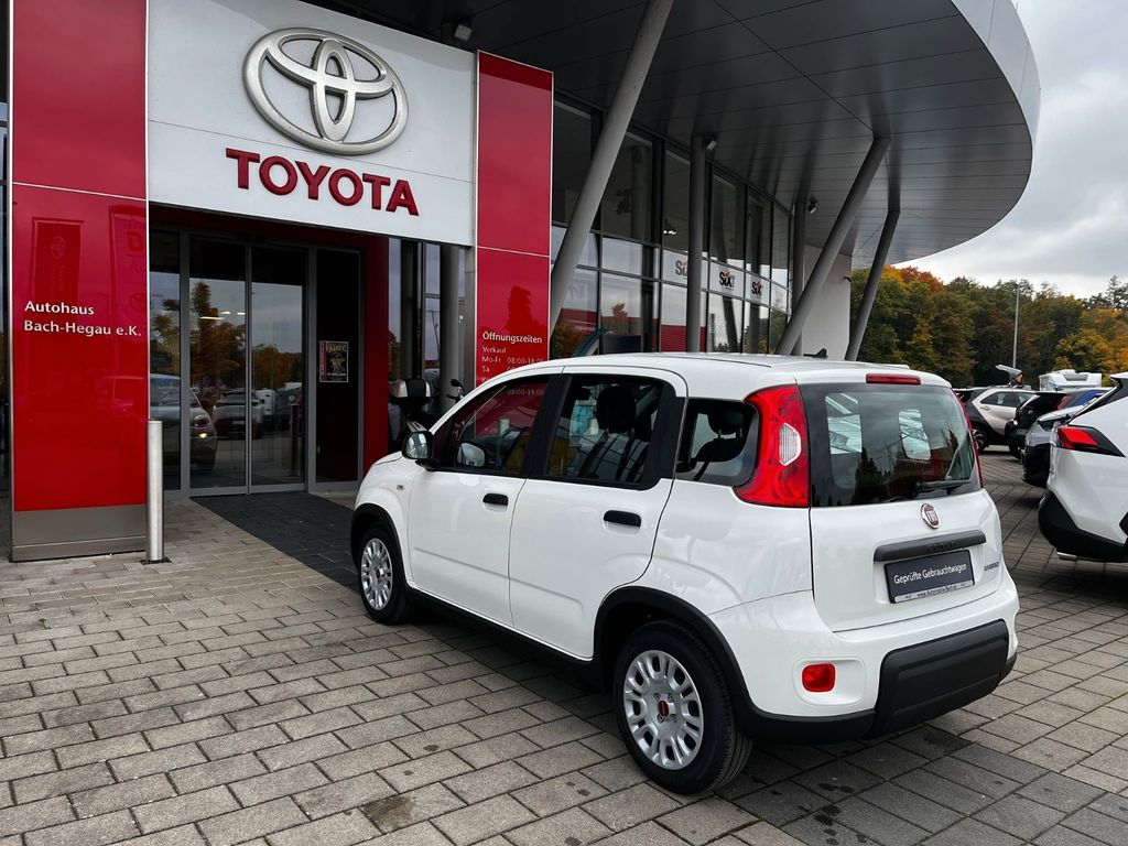 Fiat Panda 2024