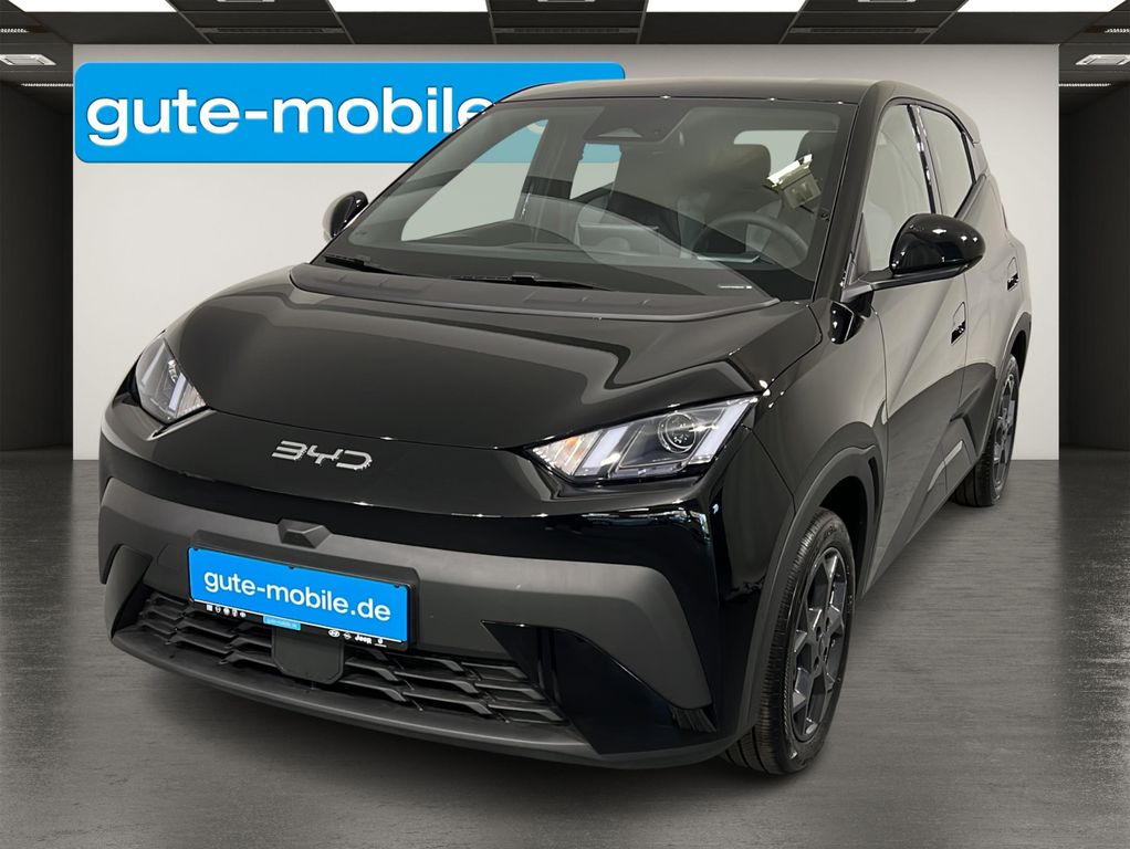 BYD DOLPHIN 2025