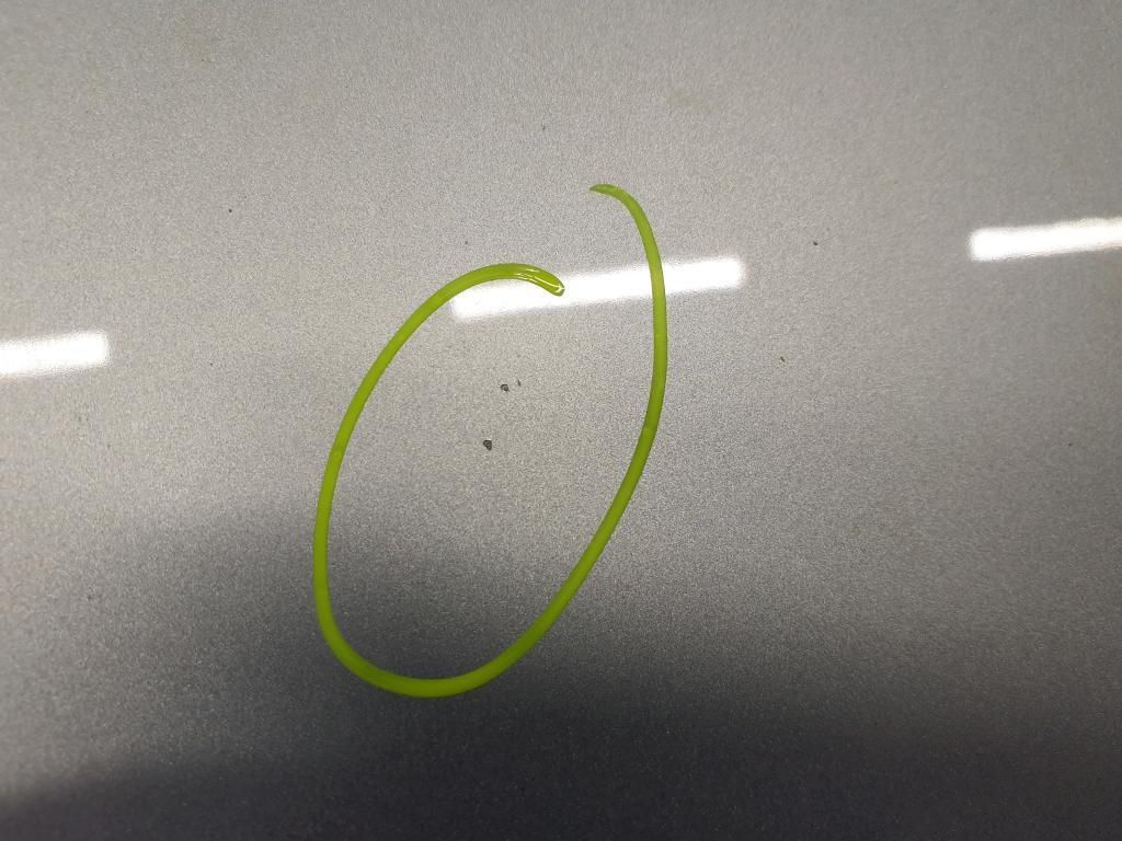 Volkswagen Polo 2024