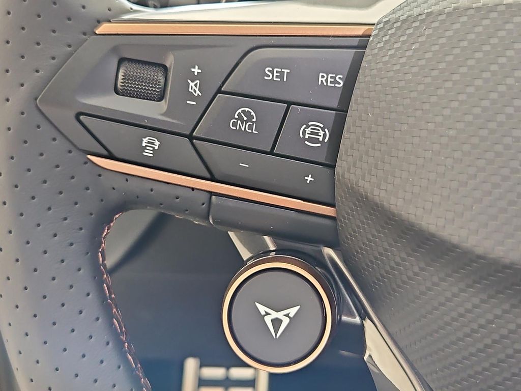 Cupra Terramar 2025
