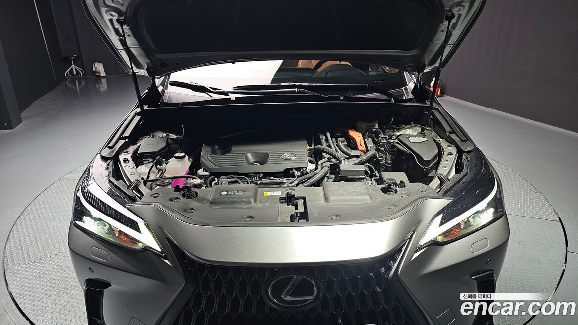 Lexus NX 2025