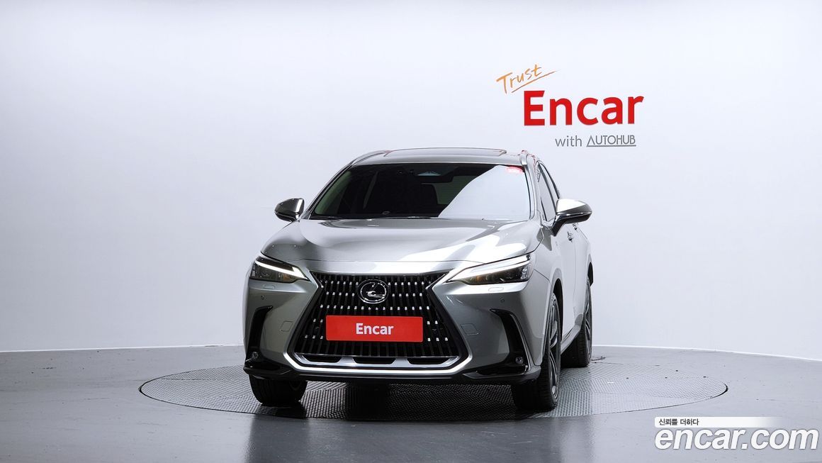 Lexus NX 2024