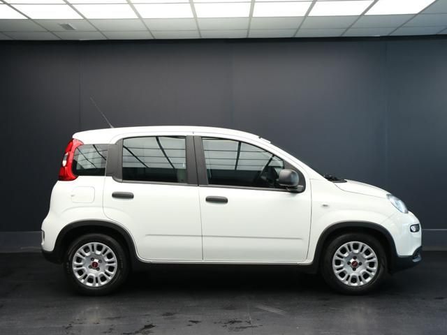 Fiat Panda 2023