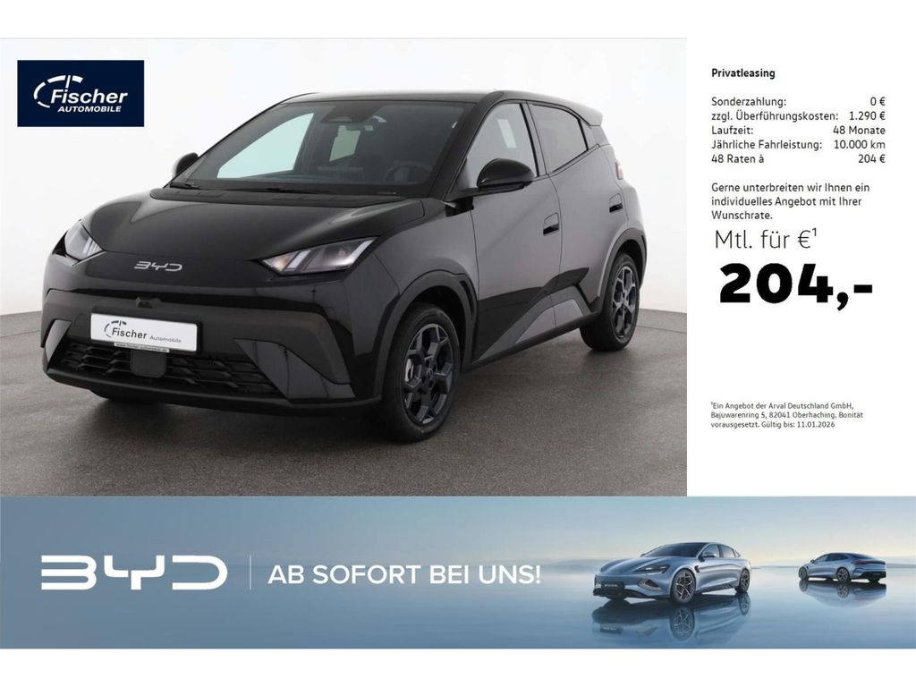 BYD DOLPHIN