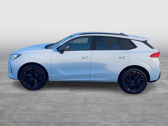Cupra Terramar 2025