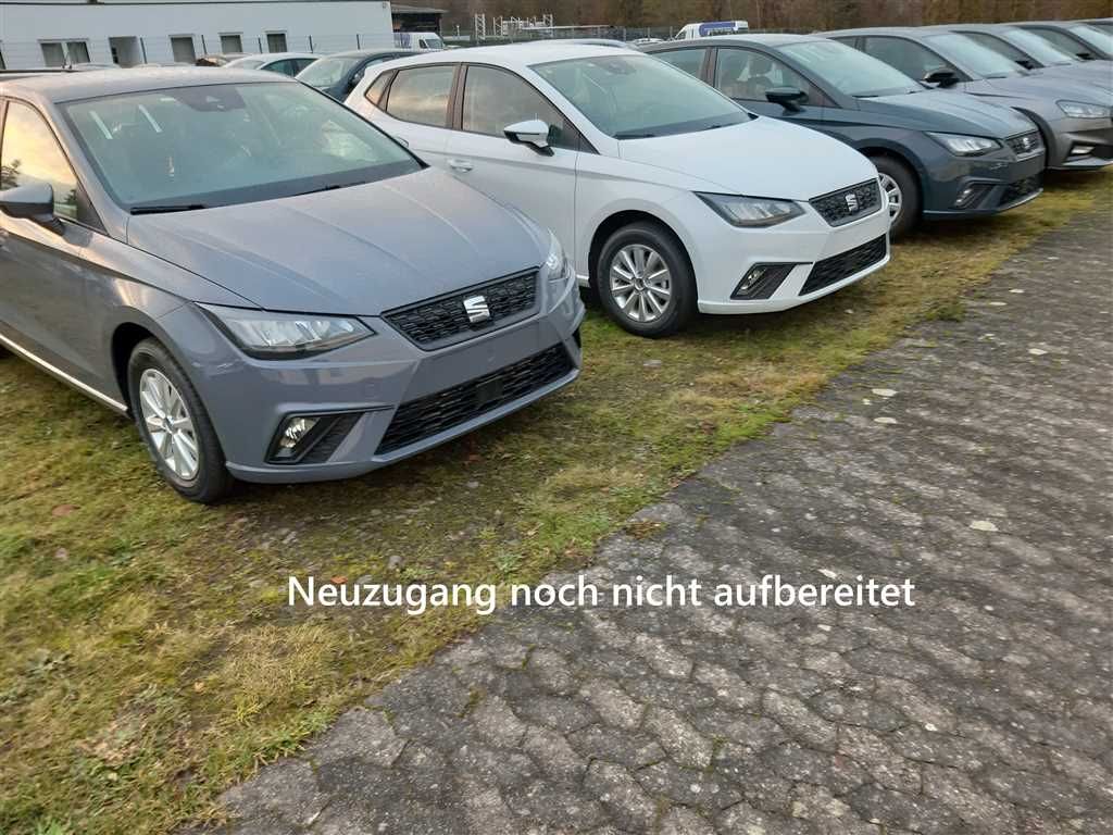 Seat Ibiza 2025