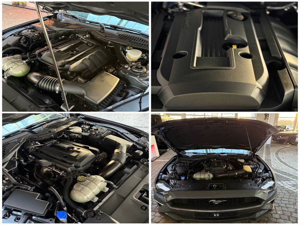 Ford Mustang 2024