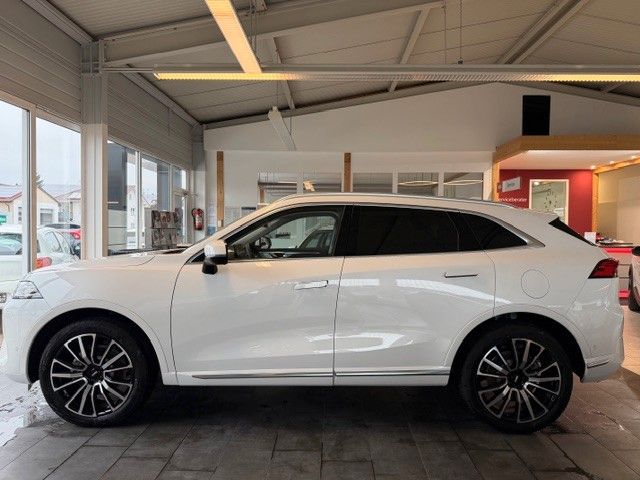 WEY Other