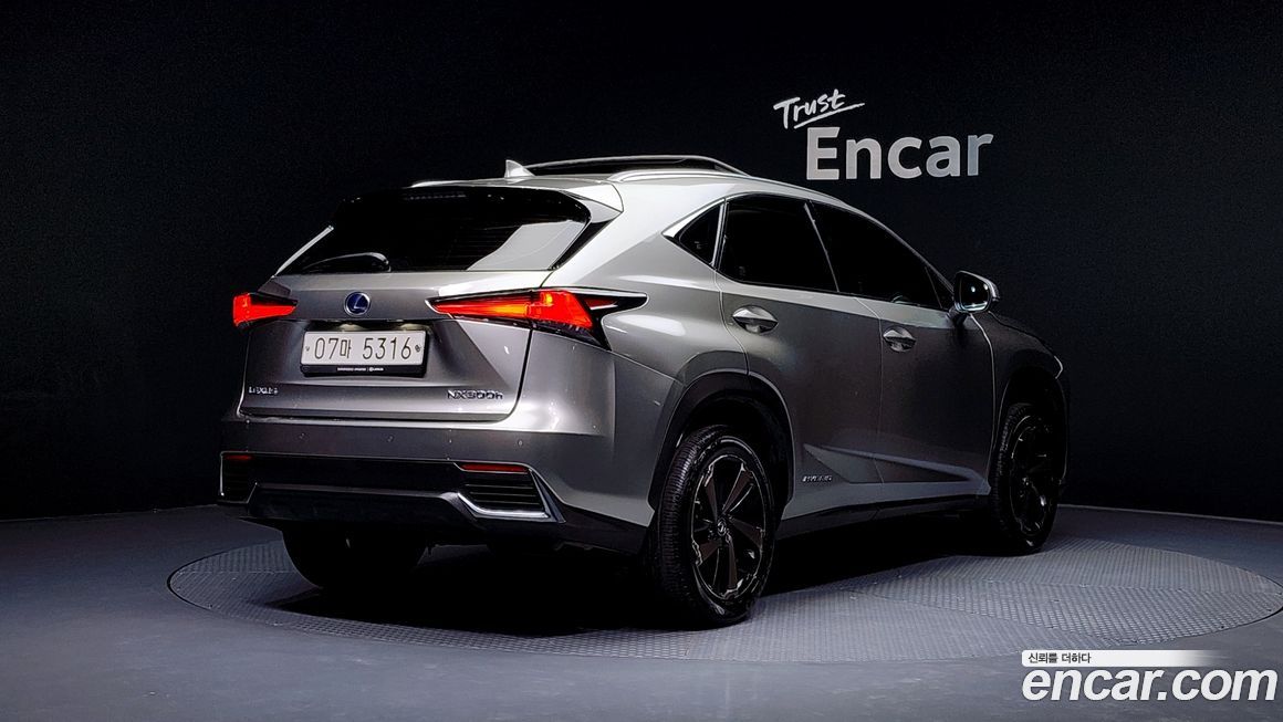 Lexus NX 2018