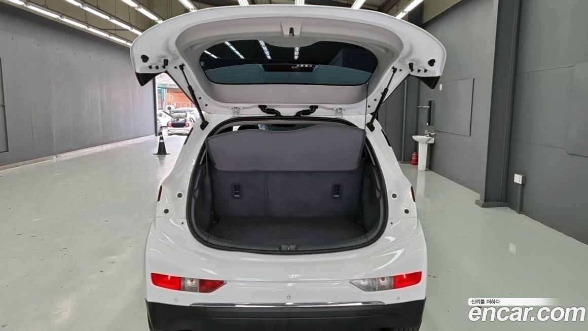 ChevroletGMDaewoo Bolt EV 2019