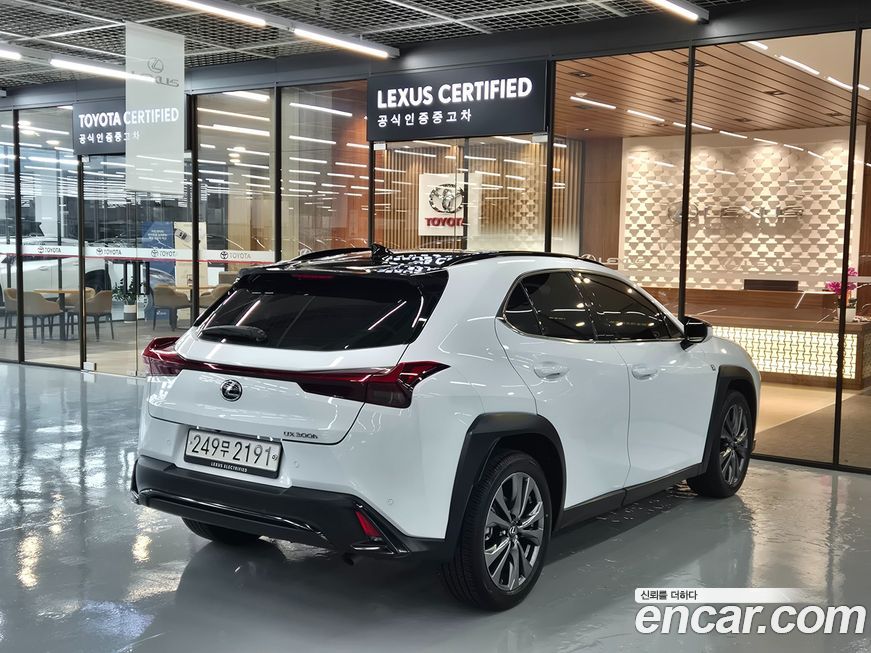 Lexus UX 2025