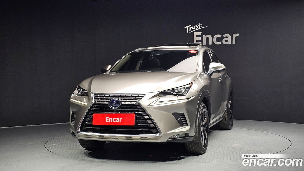 Lexus NX 2021
