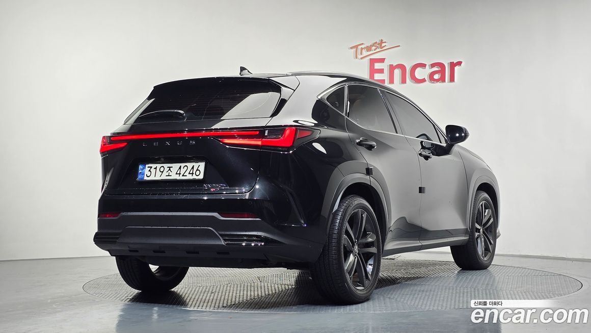 Lexus NX 2024