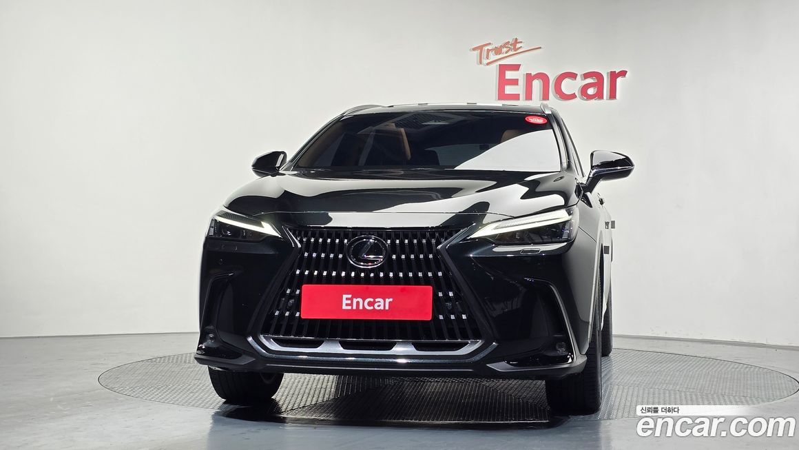 Lexus NX 2024