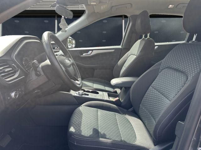 Ford Kuga 2022