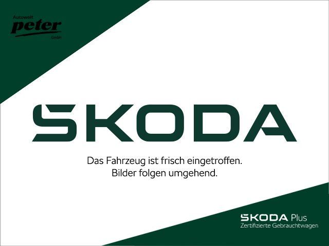 Skoda Karoq 2020