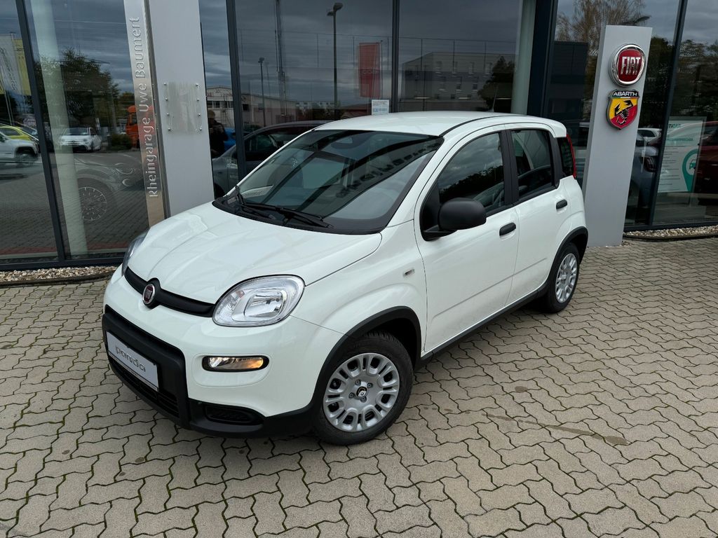 Fiat Panda 2024