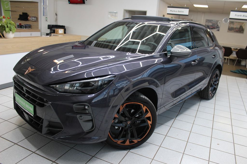 Cupra Terramar 2024