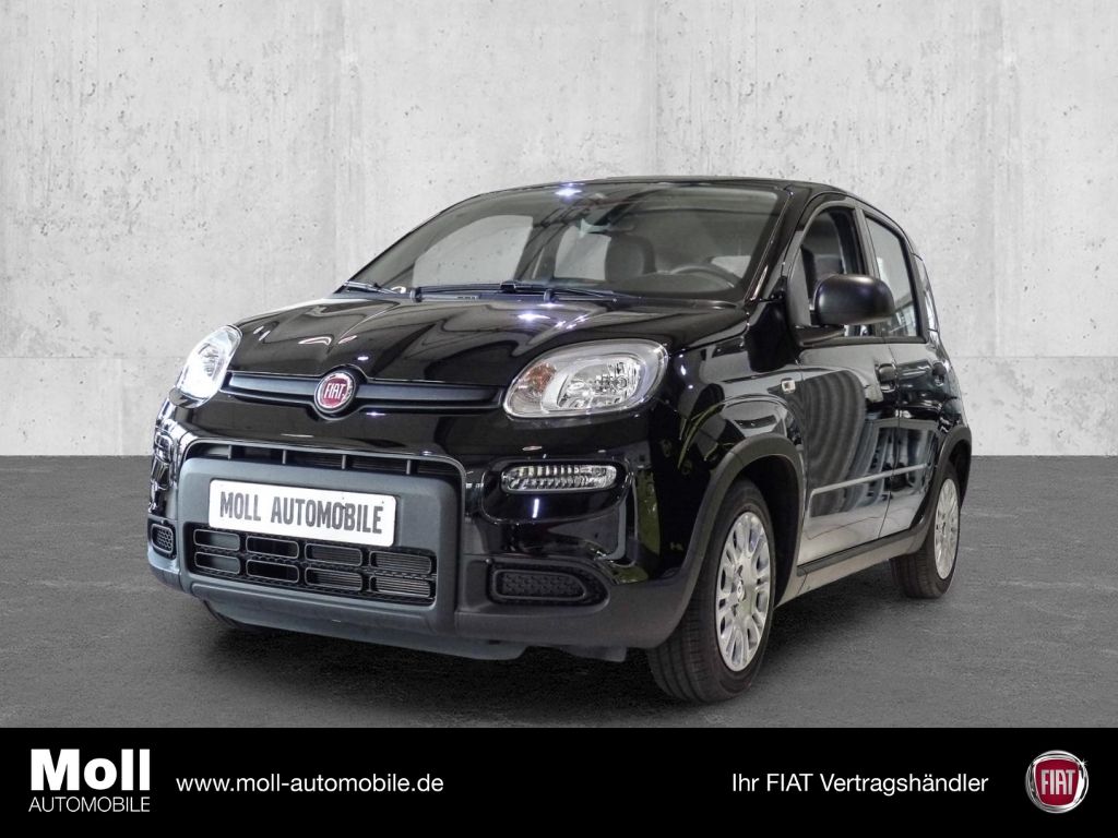 Fiat Panda 2024