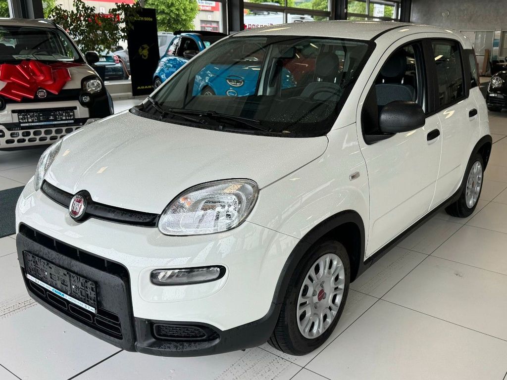 Fiat Panda 2025