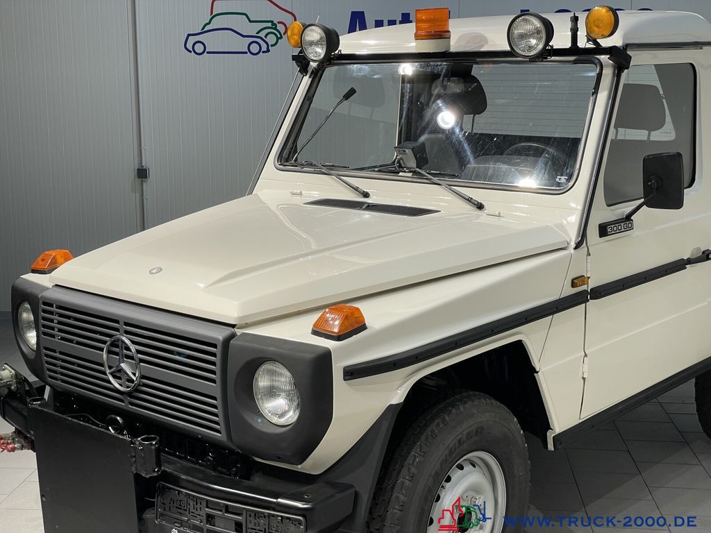 Mercedes-Benz G 300 1989