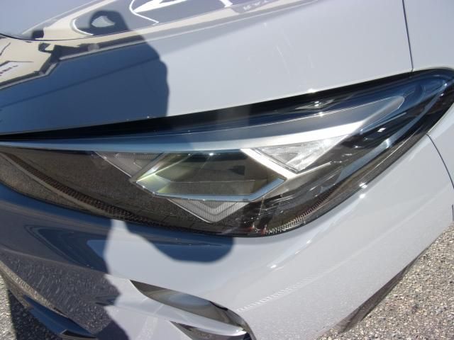 Cupra Terramar 2024