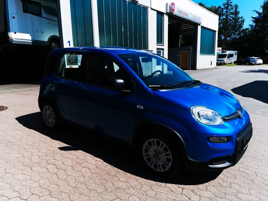 Fiat Panda 2024
