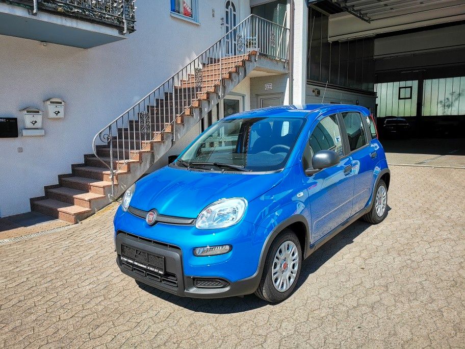 Fiat Panda 2024