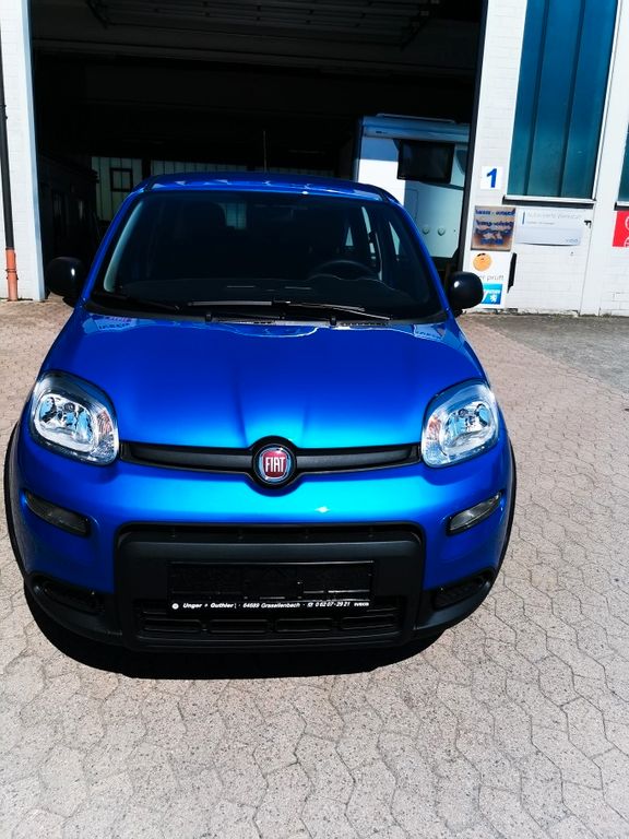 Fiat Panda 2024