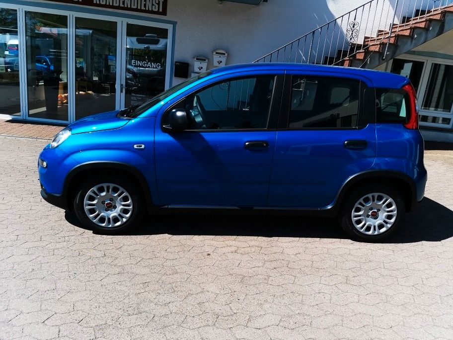 Fiat Panda 2024