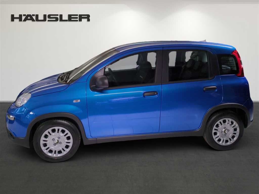 Fiat Panda 2024