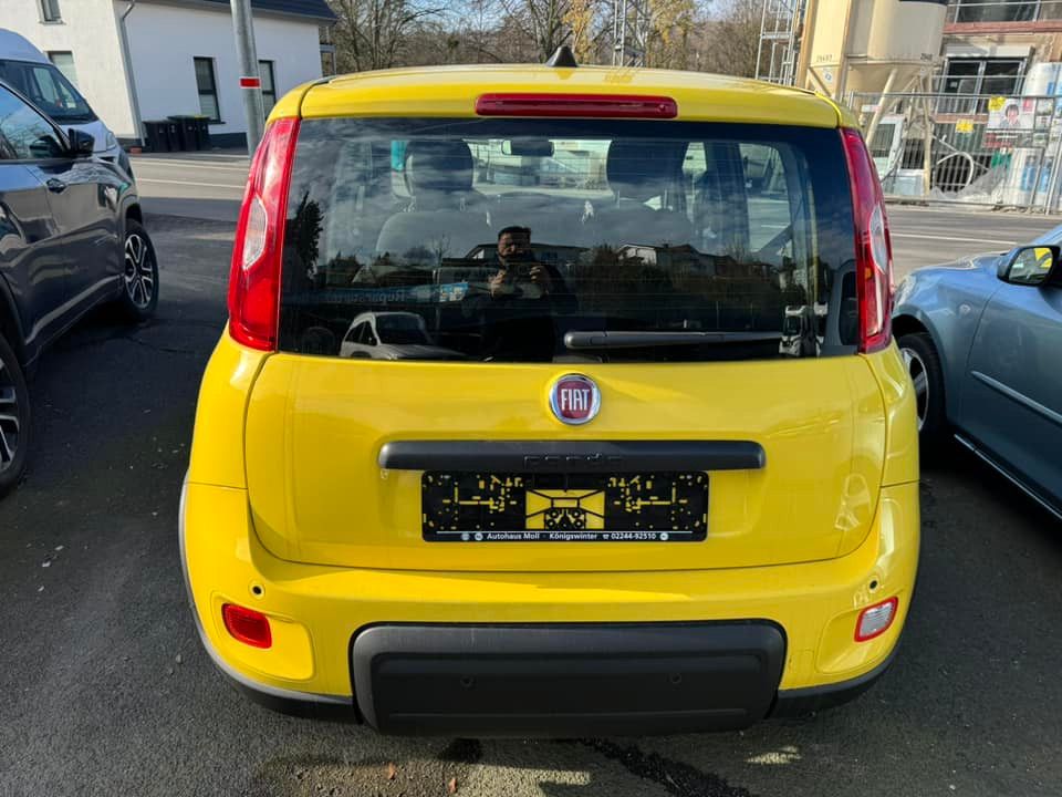 Fiat Panda 2024