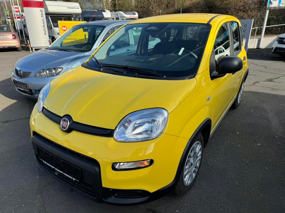 Fiat Panda 2024