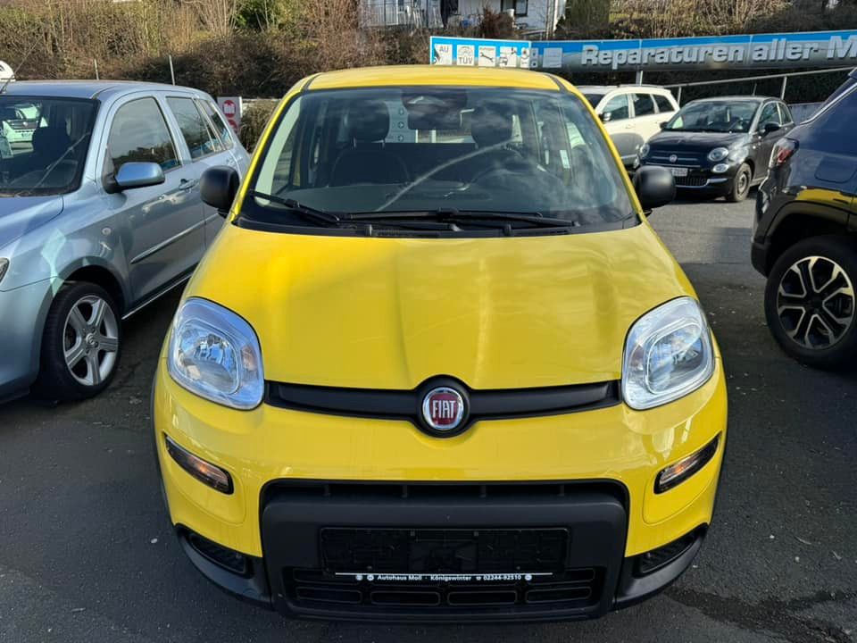 Fiat Panda 2024