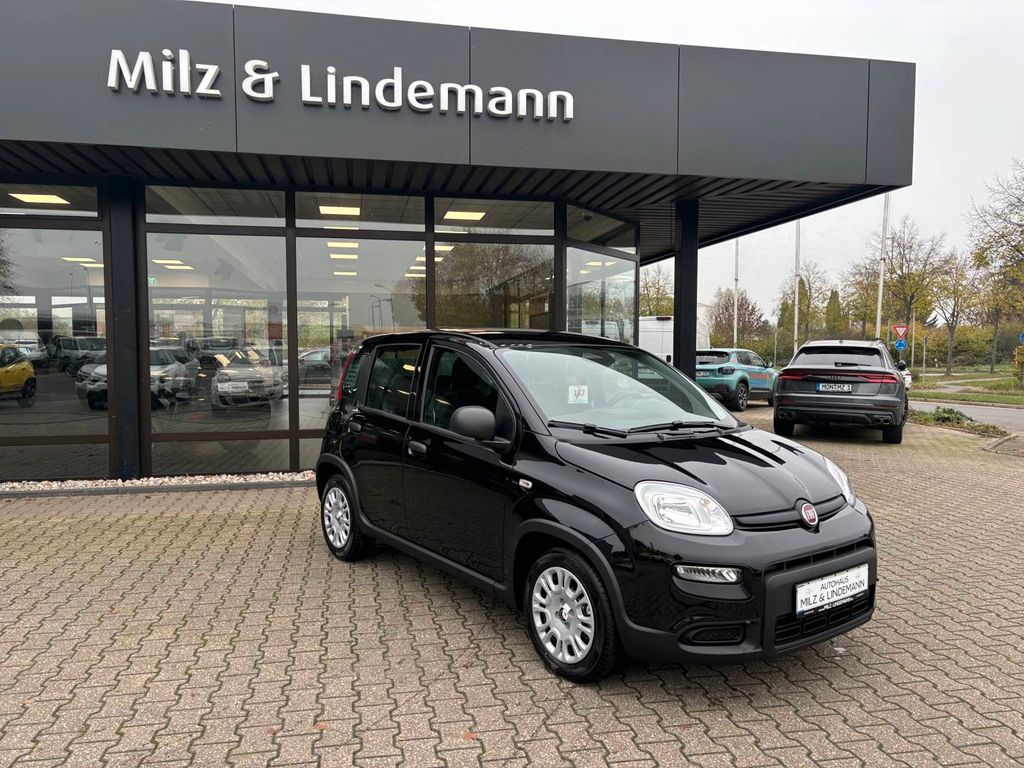 Fiat Panda 2024
