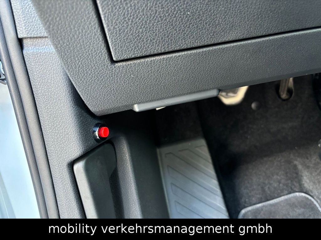 Ford Grand Tourneo 2024