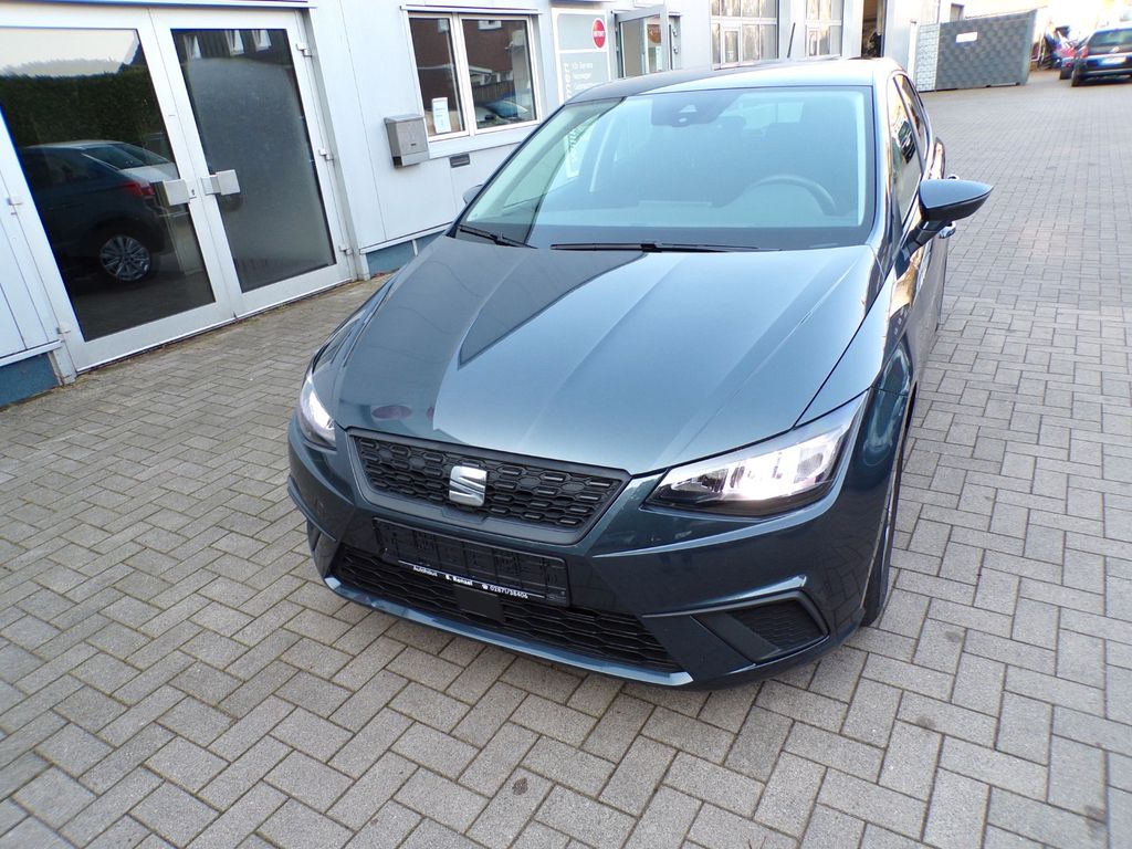 Seat Ibiza 2024