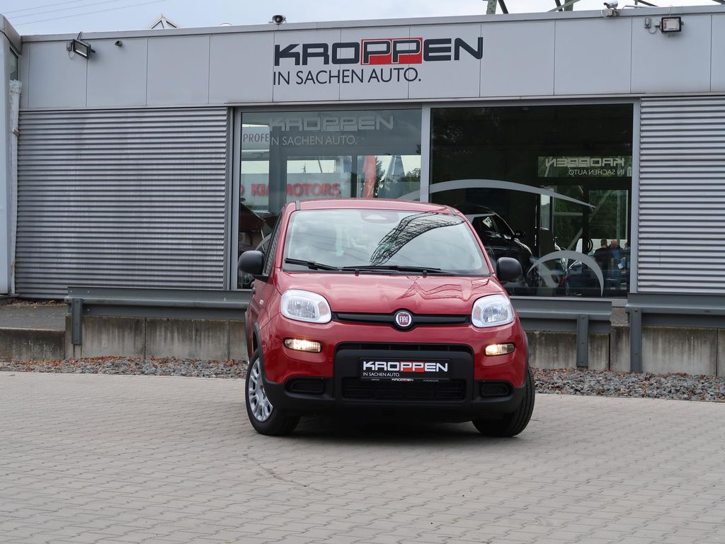 Fiat Panda 2024