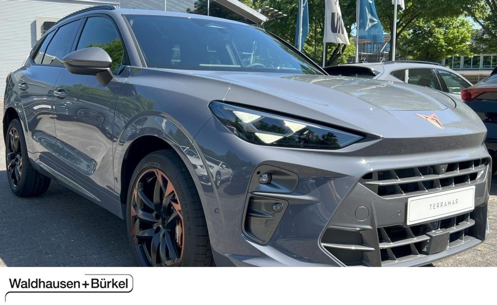Cupra Terramar