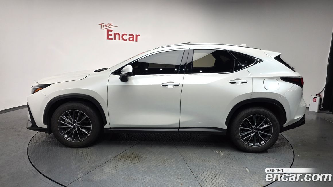 Lexus NX 2025