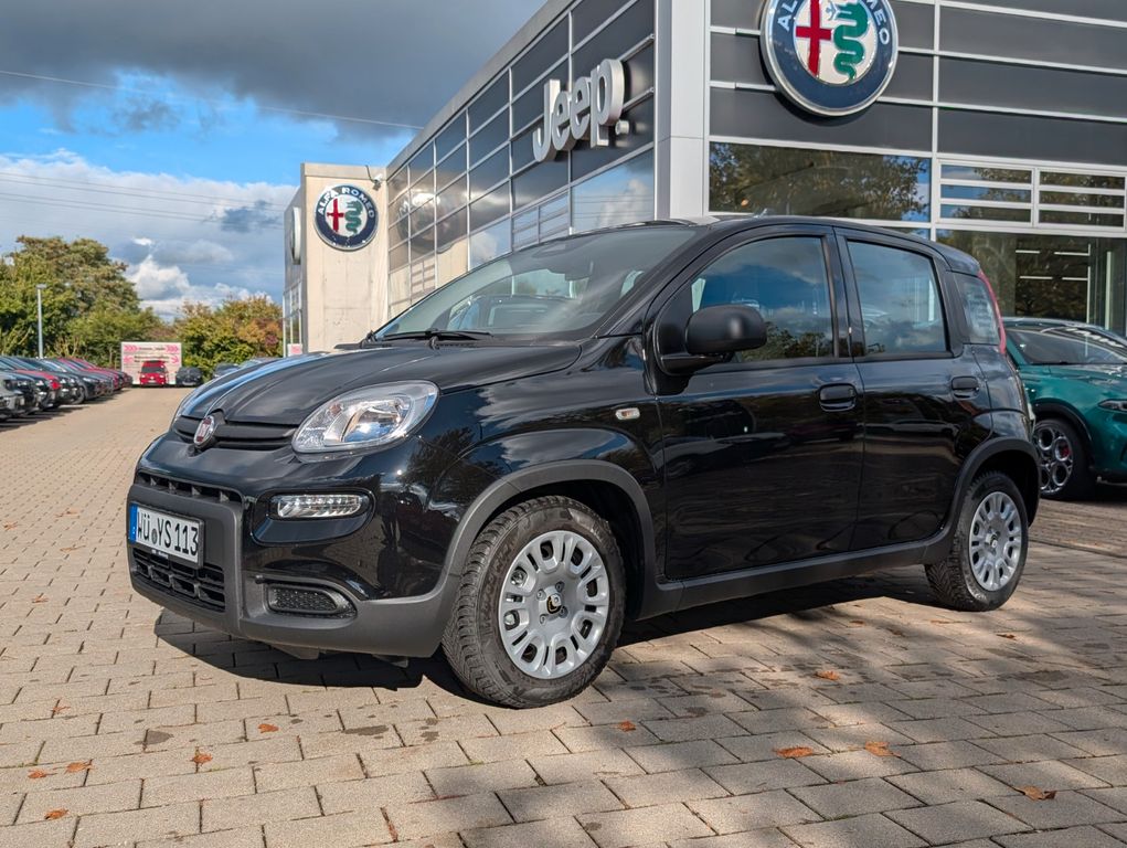 Fiat Panda 2024