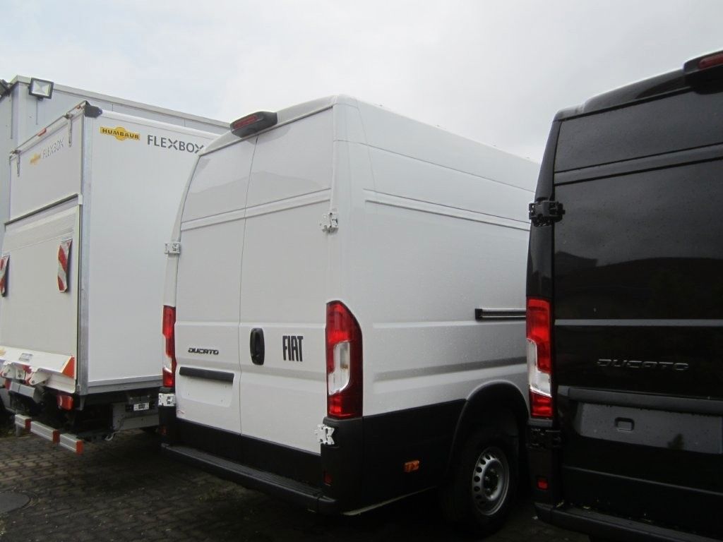 Fiat Ducato 2025