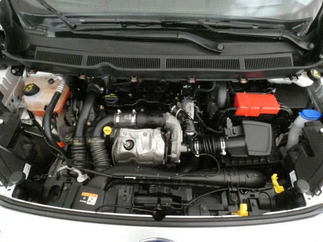 Ford Transit 2019