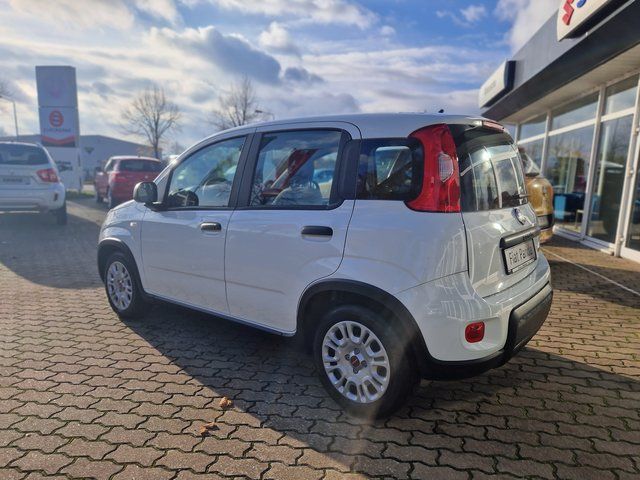 Fiat Panda 2023