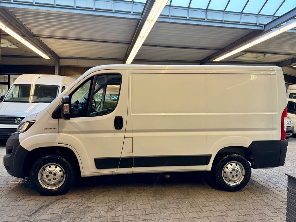 Fiat Ducato 2020