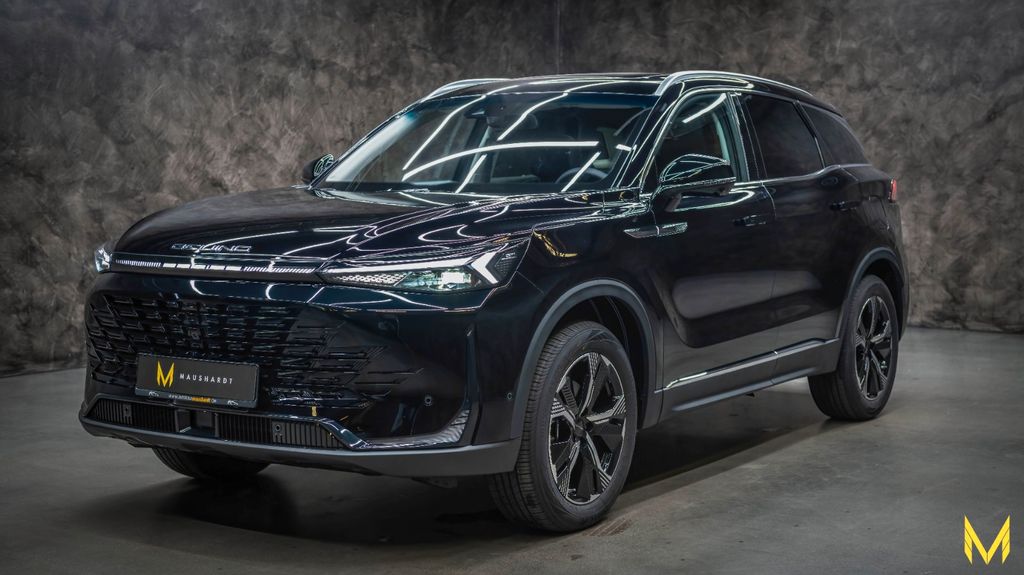 BAIC Other
